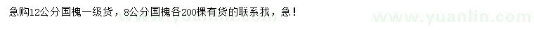 求購8、12公分國槐