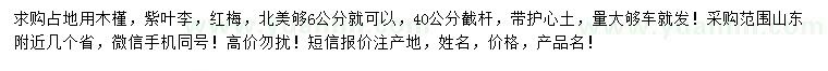 求購木槿、紫葉李、紅梅等