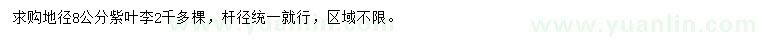 求購地徑8公分紫葉李