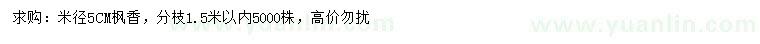 求購米徑5公分楓香