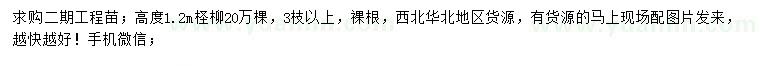 求購(gòu)高1.2米檉柳