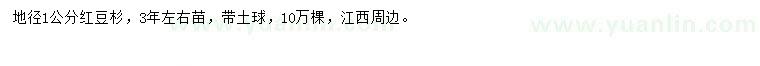 求購(gòu)地徑1公分紅豆杉