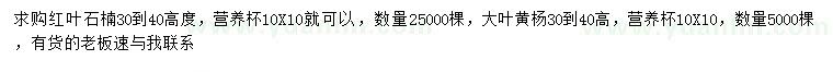 求購高30-40公分紅葉石楠、大葉黃楊