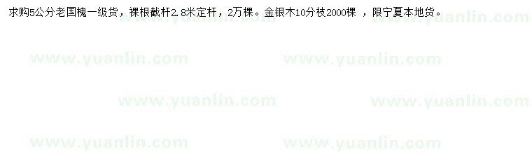 求購(gòu)5公分國(guó)槐、10公分