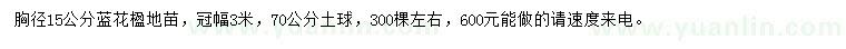 求購胸徑15公分藍(lán)花楹地苗