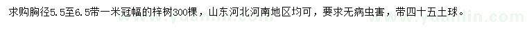 求購(gòu)胸徑5.5-6.5公分梓樹(shù)