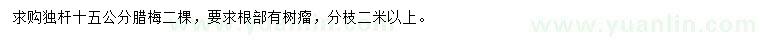 求購獨桿15公分臘梅