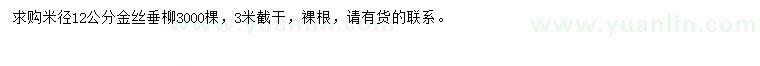 求購米徑12公分金絲垂柳