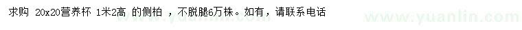 求購高1.2米側(cè)柏