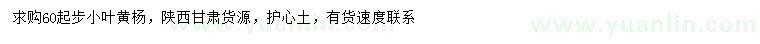 求購(gòu)60公分起步小葉黃楊