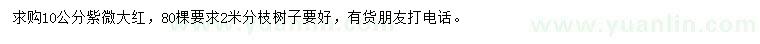 求購10公分紫微