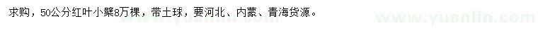 求購(gòu)50公分紅葉小檗