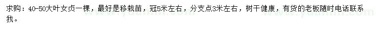 求購40-50公分大葉女貞