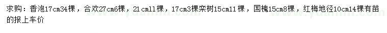 求購香泡、合歡、欒樹等