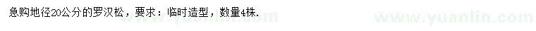 求購地徑20公分羅漢松