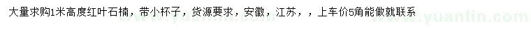 求購高1米紅葉石楠