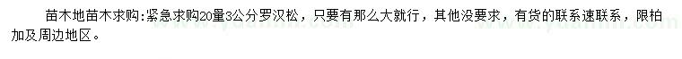 求購20量3公分羅漢松