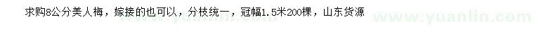 求購8公分美人梅