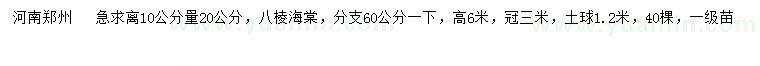 求購10公分量20公分八棱海棠
