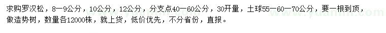 求購30量8、9、10、12公分羅漢松