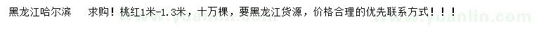 求購1-1.3米桃紅