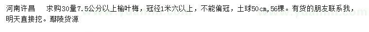求購30量7.5公分以上榆葉梅