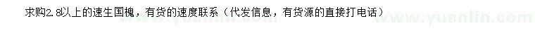 求購2.8米以上速生國槐