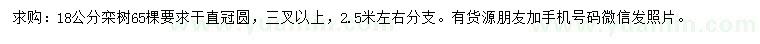 求購(gòu)18公分欒樹(shù)