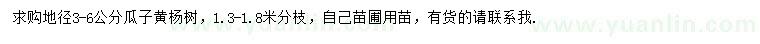 求購地徑3-6公分瓜子黃楊樹