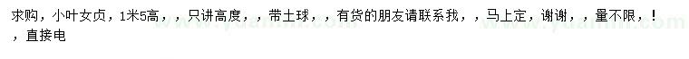 求購高1.5米小葉女貞