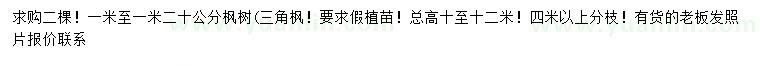 求購(gòu)100-120公分楓樹