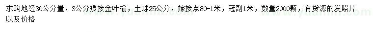 求購(gòu)地徑30公分量3公分矮接金葉榆