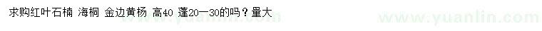求購紅葉石楠、海桐、金邊黃楊