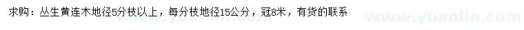 求購叢生黃連木