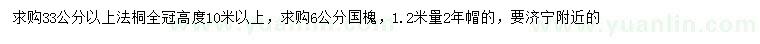 求購(gòu)33公分以上法桐、6公分國(guó)槐