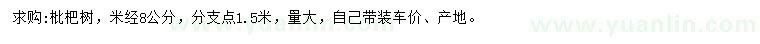 求購(gòu)米徑8公分枇杷樹
