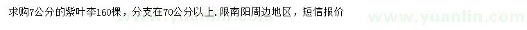 求購(gòu)7公分紫葉李