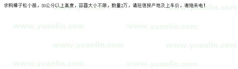 求購高30公分以上樟子松小苗