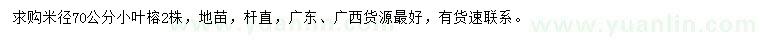 求購米徑70公分小葉榕