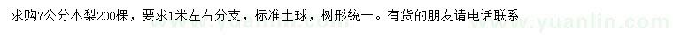 求購(gòu)7公分木梨