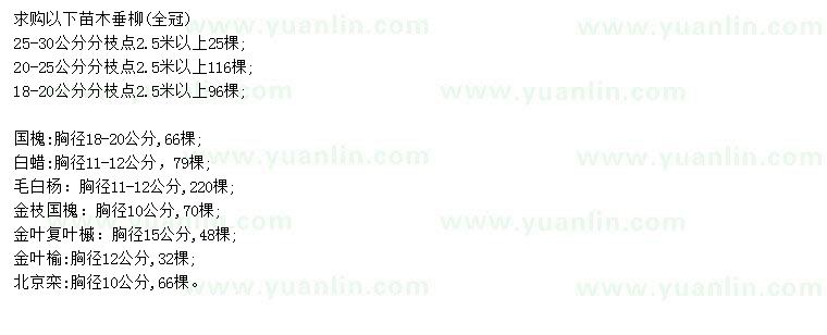 求購垂柳、國槐、白蠟等
