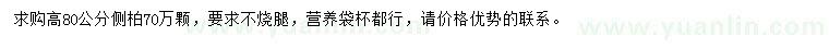 求購高80公分側(cè)柏