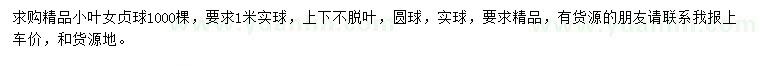 求購1米小葉女貞球
