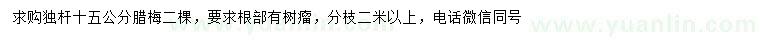 求購15公分獨(dú)桿臘梅