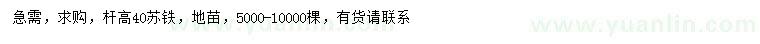 求購(gòu)桿高40公分蘇鐵