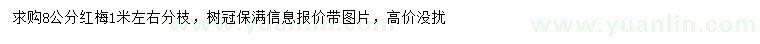 求購(gòu)8公分紅梅