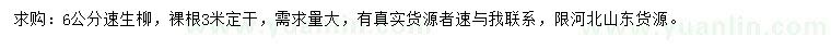 求購6公分速生柳