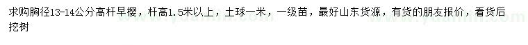 求購胸徑13-14公分高桿早櫻