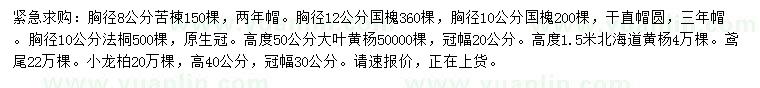 求購苦楝、國槐、法桐等