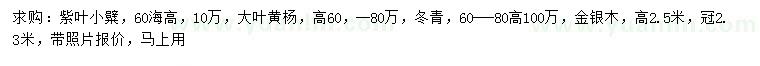 求購紫葉小檗、大葉黃楊、冬青等